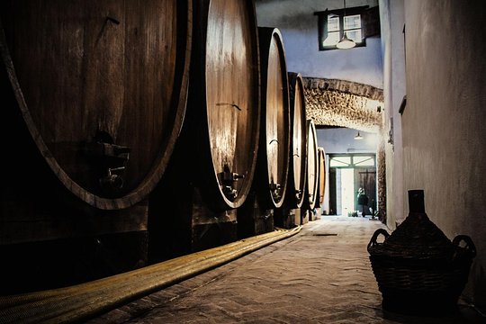 Fattoria Il Muro Aziende Strada del Vino Terre di Arezzo